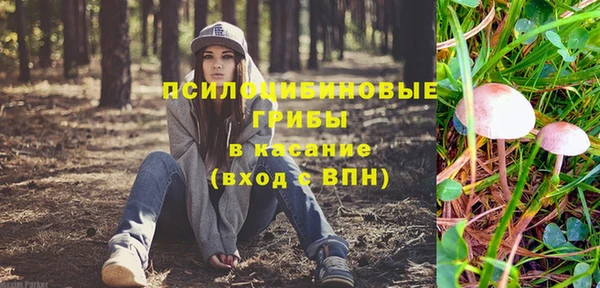 мдпв Новодвинск