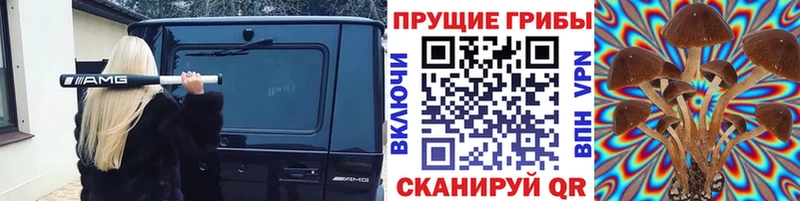Псилоцибиновые грибы мицелий  Сергач 